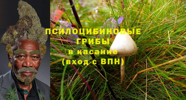 Альфа ПВП Пересвет