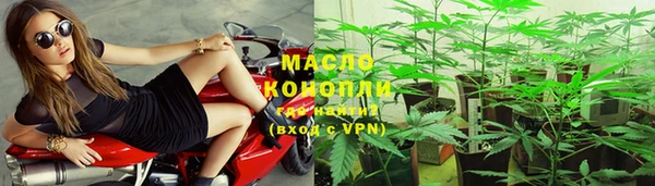 Альфа ПВП Пересвет