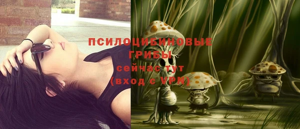 Альфа ПВП Пересвет